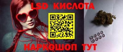 индика Кулебаки