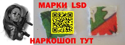 индика Кулебаки