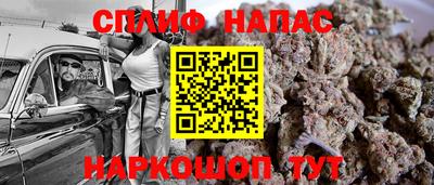 индика Кулебаки