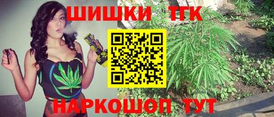 индика Кулебаки