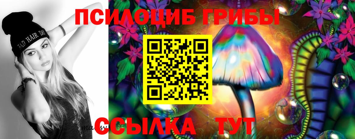 Галлюциногенные грибы Psilocybe Кировск